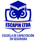 Academia Virtual Escapin