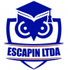 Plataforma virtual de la Academia Escapin